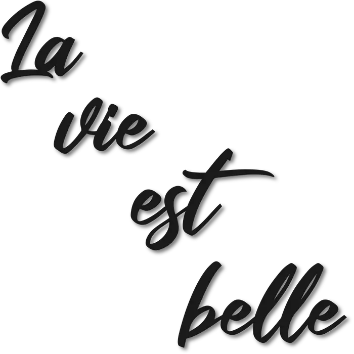 LIFE IS BEAUTIFUL