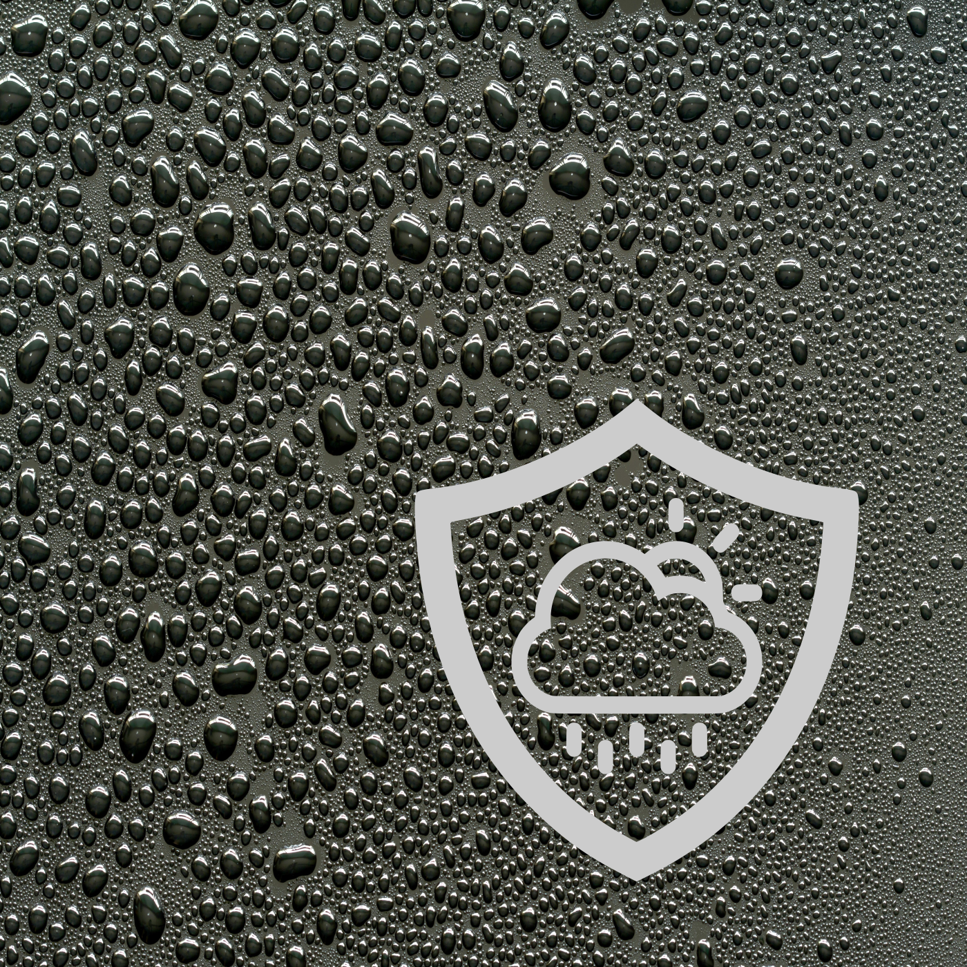 SIGN / ORIGNAL 2